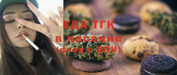 амф Верхний Тагил