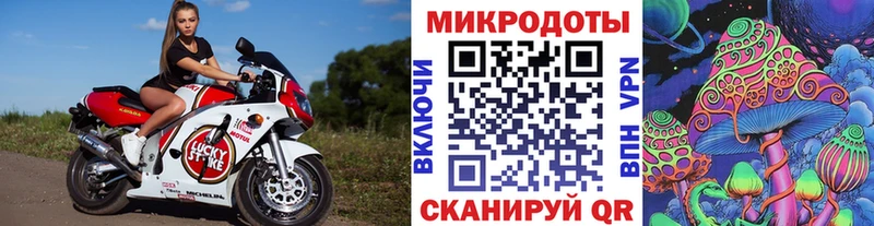 Купить  Новозыбков  Псилоцибиновые грибы Psilocybe 